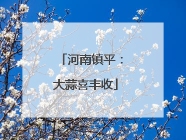 河南镇平：大蒜喜丰收