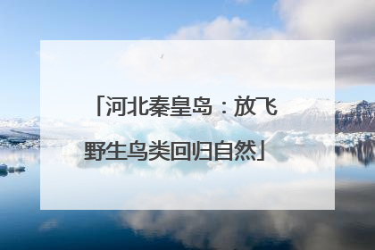 河北秦皇岛：放飞野生鸟类回归自然