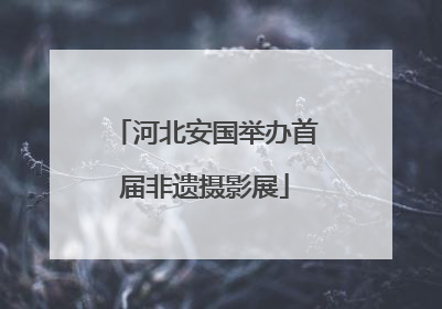 河北安国举办首届非遗摄影展