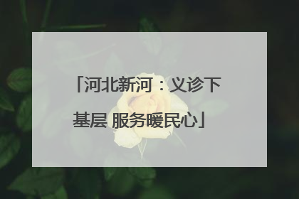 河北新河：义诊下基层 服务暖民心
