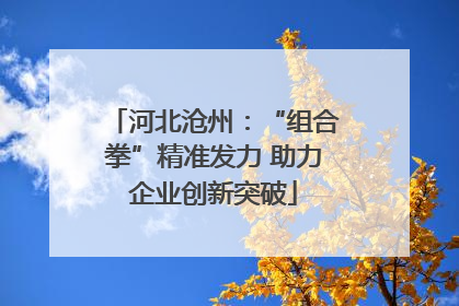河北沧州：“组合拳”精准发力 助力企业创新突破