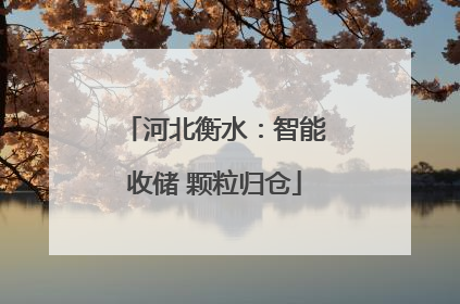 河北衡水：智能收储 颗粒归仓