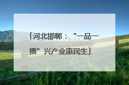 河北邯郸：“一品一播”兴产业惠民生