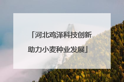 河北鸡泽科技创新助力小麦种业发展