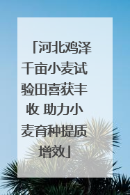河北鸡泽千亩小麦试验田喜获丰收 助力小麦育种提质增效