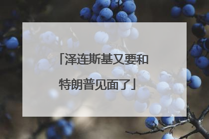 泽连斯基又要和特朗普见面了