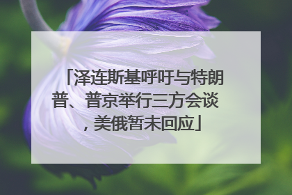 泽连斯基呼吁与特朗普、普京举行三方会谈，美俄暂未回应