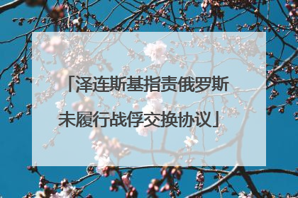 泽连斯基指责俄罗斯未履行战俘交换协议