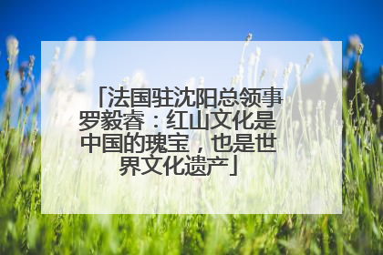 法国驻沈阳总领事罗毅睿：红山文化是中国的瑰宝，也是世界文化遗产