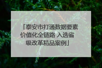 泰安市打通数据要素价值化全链路 入选省级改革精品案例