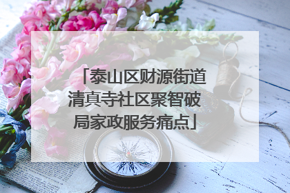泰山区财源街道清真寺社区聚智破局家政服务痛点
