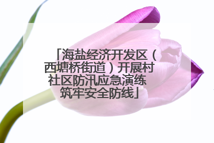 海盐经济开发区（西塘桥街道）开展村社区防汛应急演练 筑牢安全防线