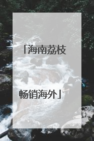 海南荔枝畅销海外