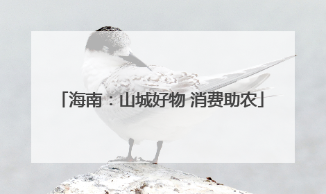 海南：山城好物 消费助农