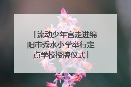 流动少年宫走进绵阳市秀水小学举行定点学校授牌仪式