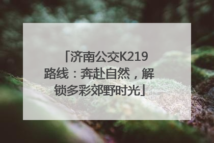 济南公交K219路线：奔赴自然，解锁多彩郊野时光