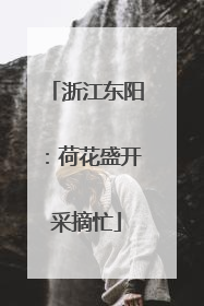 浙江东阳：荷花盛开采摘忙