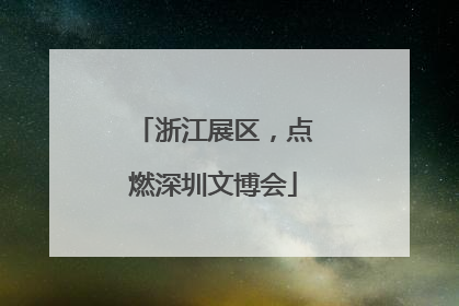 浙江展区，点燃深圳文博会