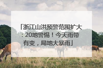 浙江山洪预警范围扩大：20地警惕！今天雨带有变，局地大暴雨
