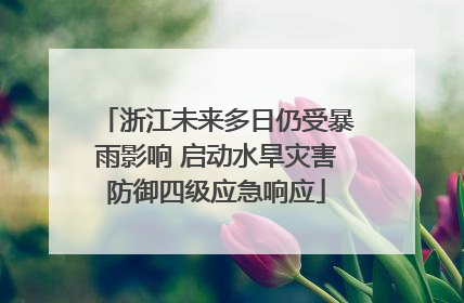 浙江未来多日仍受暴雨影响 启动水旱灾害防御四级应急响应