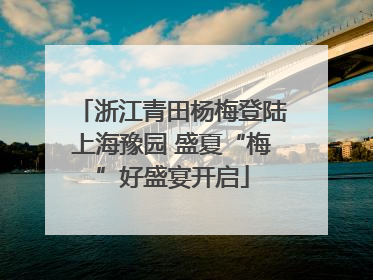 浙江青田杨梅登陆上海豫园 盛夏“梅”好盛宴开启