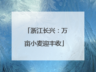 浙江长兴：万亩小麦迎丰收