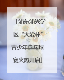 浦东浦兴学区“大爱杯”青少年乒乓球赛火热开启