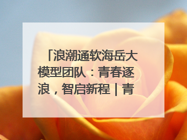 浪潮通软海岳大模型团队：青春逐浪，智启新程｜青春思政课