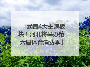 涵盖4大主题板块！河北将举办第六届体育消费季