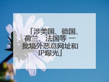 涉美国、德国、荷兰、法国等 一批境外恶意网址和IP曝光