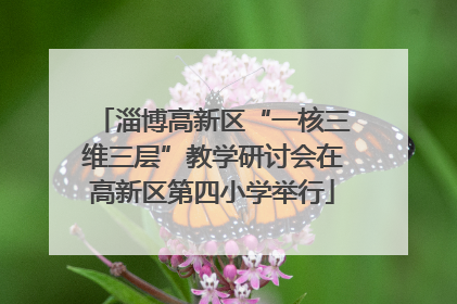 淄博高新区“一核三维三层”教学研讨会在高新区第四小学举行