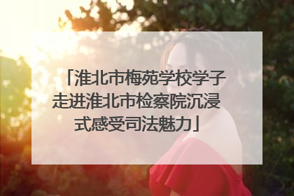 淮北市梅苑学校学子走进淮北市检察院沉浸式感受司法魅力