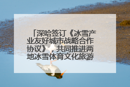 深哈签订《冰雪产业友好城市战略合作协议》，共同推进两地冰雪体育文化旅游高质量发展