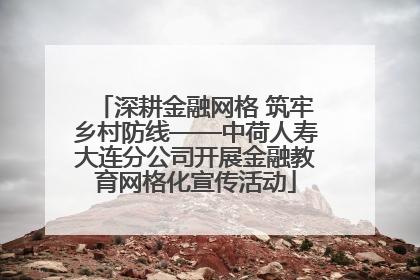 深耕金融网格 筑牢乡村防线——中荷人寿大连分公司开展金融教育网格化宣传活动