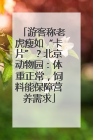 游客称老虎瘦如“卡片”？北京动物园：体重正常，饲料能保障营养需求