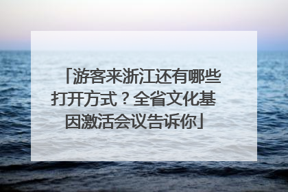 游客来浙江还有哪些打开方式？全省文化基因激活会议告诉你