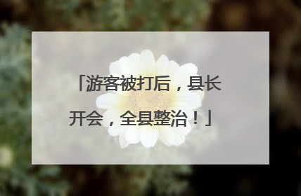 游客被打后，县长开会，全县整治！