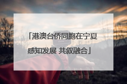 港澳台侨同胞在宁夏感知发展 共叙融合