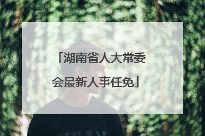 湖南省人大常委会最新人事任免