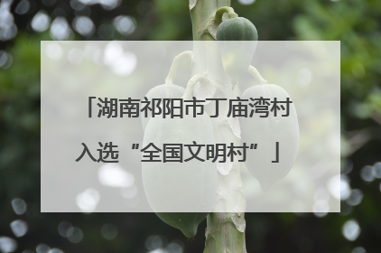 湖南祁阳市丁庙湾村入选“全国文明村”