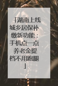 湖南上线城乡居保补缴新功能：手机点一点 养老金提档不用跑腿