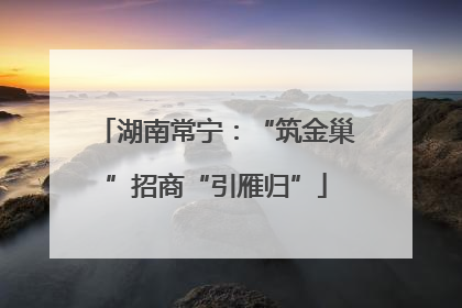 湖南常宁：“筑金巢”招商“引雁归”