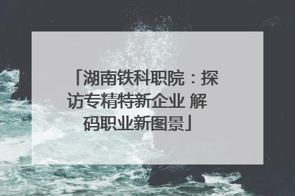 湖南铁科职院：探访专精特新企业 解码职业新图景