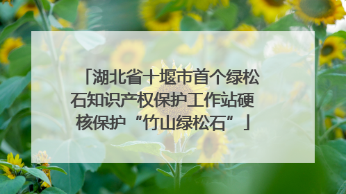 湖北省十堰市首个绿松石知识产权保护工作站硬核保护“竹山绿松石”