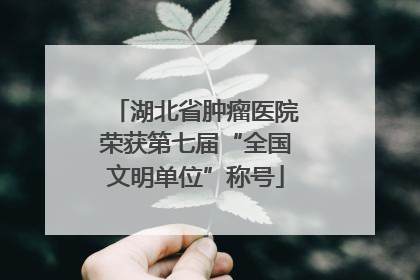 湖北省肿瘤医院荣获第七届“全国文明单位”称号