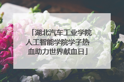 湖北汽车工业学院人工智能学院学子热血助力世界献血日