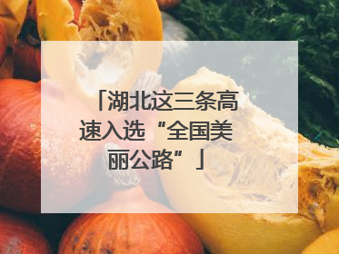 湖北这三条高速入选“全国美丽公路”