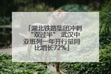 湖北铁路集团冲刺“双过半” 武汉中亚班列一年开行量同比增长72%