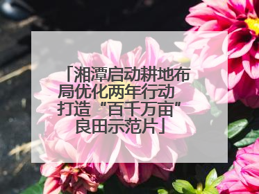 湘潭启动耕地布局优化两年行动 打造“百千万亩”良田示范片