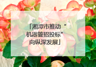 湘潭市推动“机器管招投标”向纵深发展